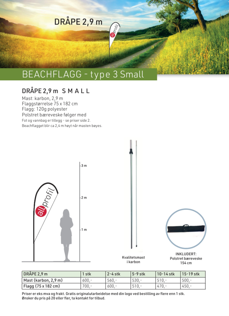 Beachflagg ny -Type-3-Small